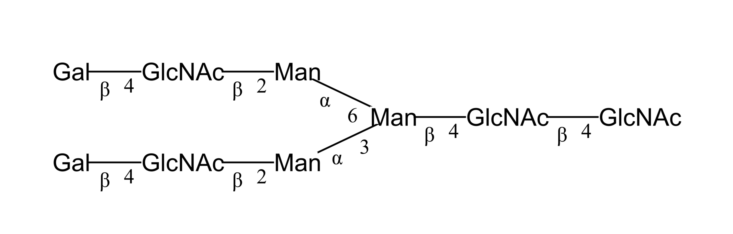 G36191CD - Image 3