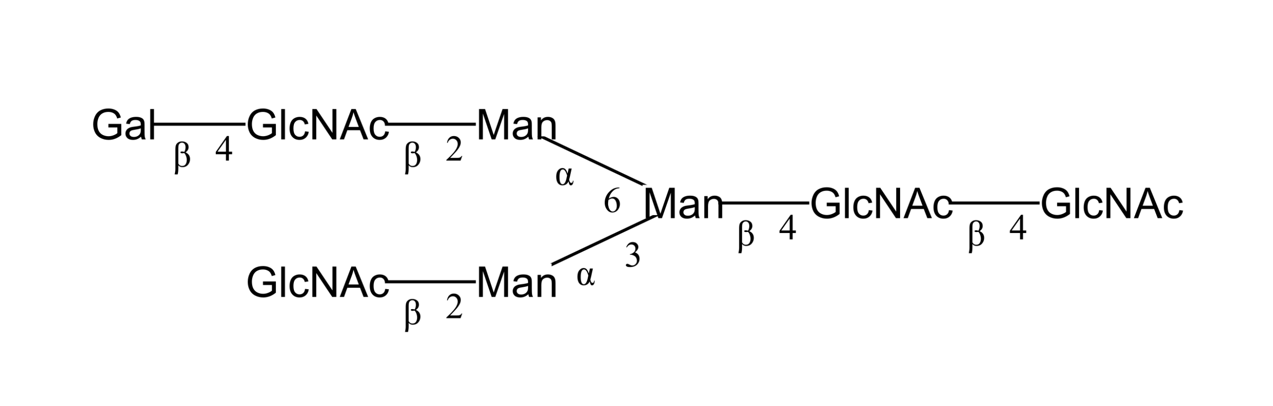 G89993FE - Image 3