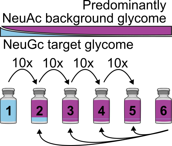 NeuGc Glycomics Benchmark Set - Image 2
